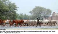 Filename=app38-02multan.jpg
Filesize=195KiB
Dimensions=1200x709
Date added=Jul 02, 2020 app38-02multan.jpg