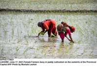 Filename=app43-17lahore_.jpg
Filesize=214KiB
Dimensions=1200x833
Date added=Jun 17, 2021 app43-17lahore_.jpg