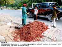 Filename=app44-24bahawalpur.jpg
Filesize=290KiB
Dimensions=1200x916
Date added=Sep 24, 2020 app44-24bahawalpur.jpg